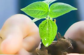 ¡F(tun)о¡ҺO(sh)䣨F(tun)޹˾